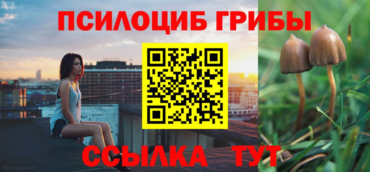 Псилоцибиновые грибы прущие грибы  как найти   Елабуга  Вход с VPN 